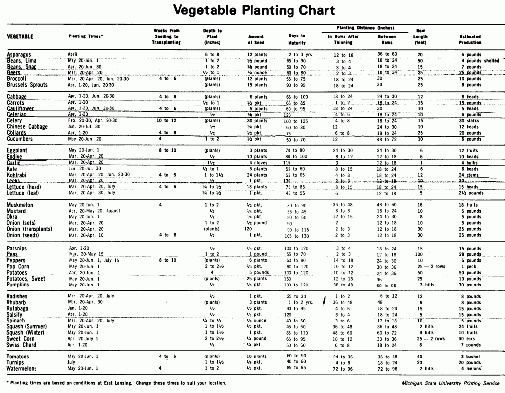 Vegetable Garden Planting Chart