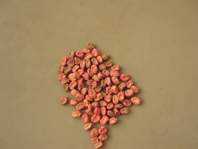 Most pea seed these days are sold as untreated seed. Treated seed is covered with a chemical that helps protect the seed from rotting in cold damp soil. It is identified by it's brightly colored dye.