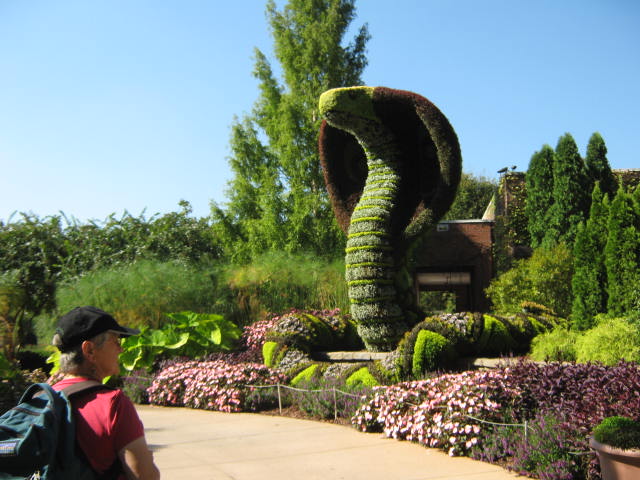 Cobra sculpture