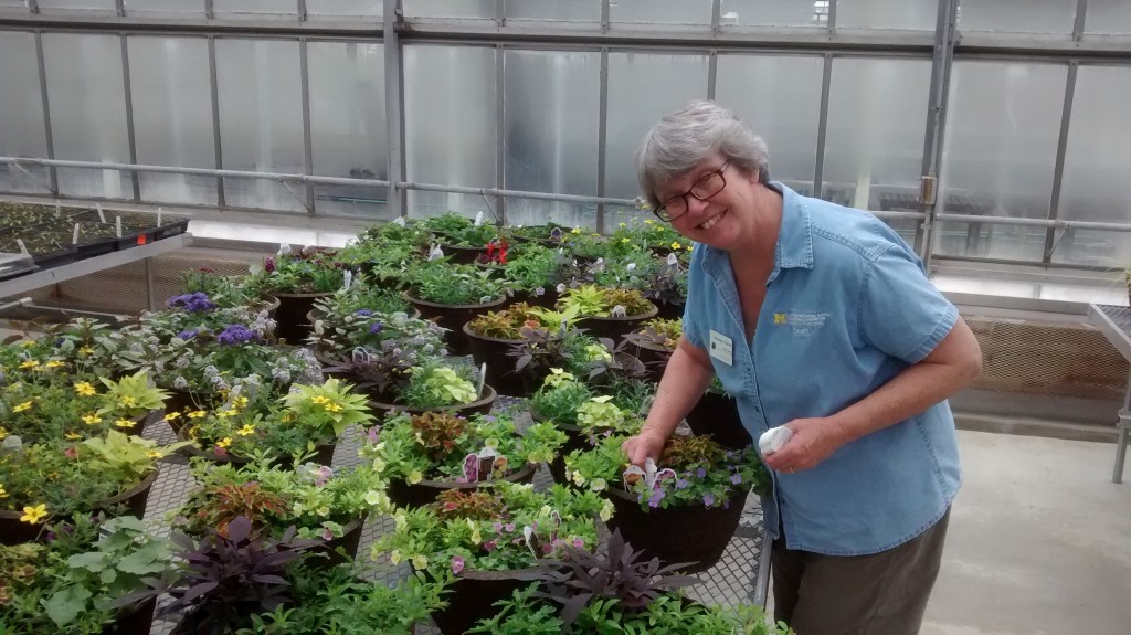 Adrienne O'Brien Collections and Natural Areas Specialist at Matthaei Botanical Gardens leads a team of University of Michigan student workers and adult volunteers. They plant, grow and design containers for the Plant Sale. 