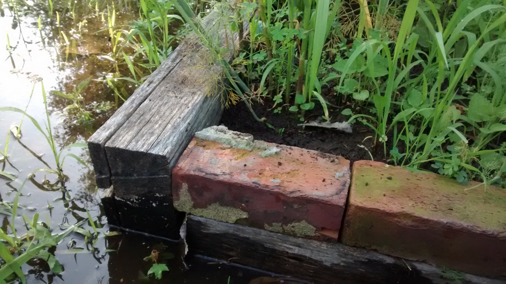 My raised bed has helped keep the plants up out of the water. I haven't even been able to weed this bed because of the high water.