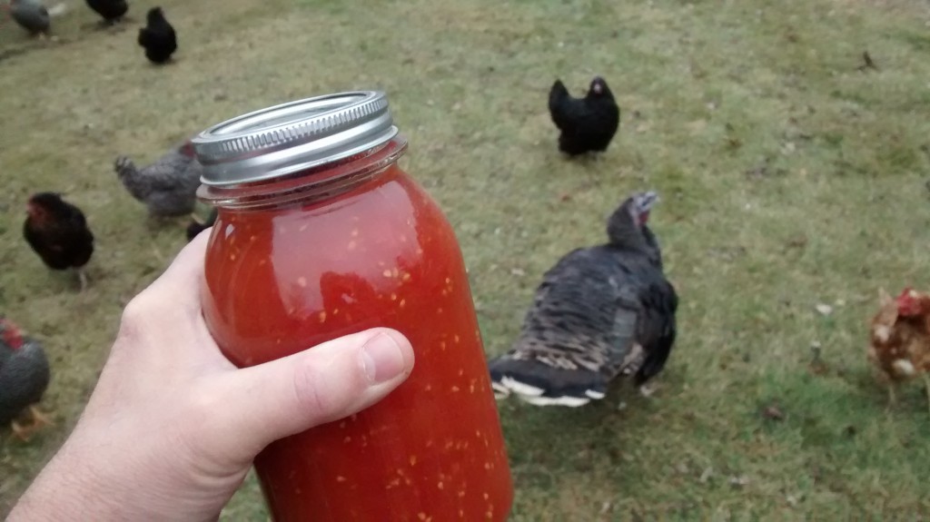 I have canned tomatoes, frozen tomatoes and dehydrated tomatoes from this years harvest.