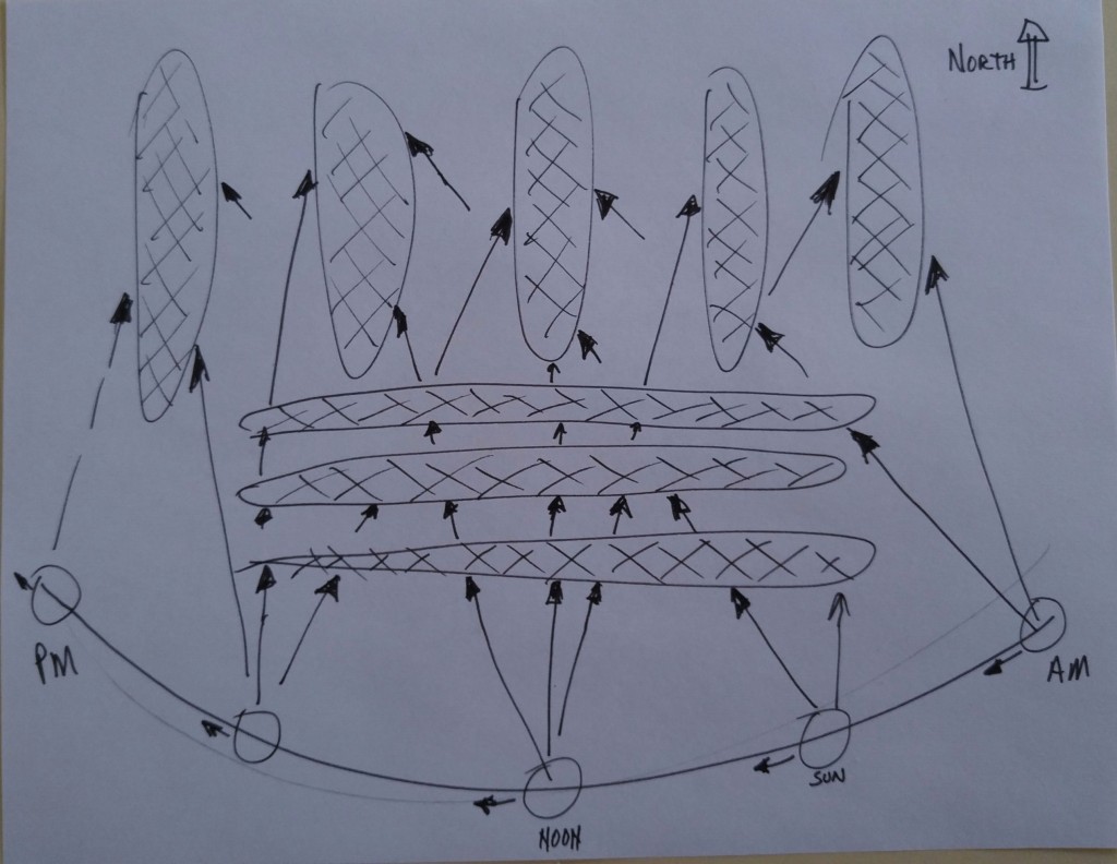 The cross-hatched areas represent rows of garden plants. The arrow heads represent rays of sunlight. Note how just the south side of the plants in the east to west rows receive sunlight. Sunlight penetrates deep into the rows that run north and south.