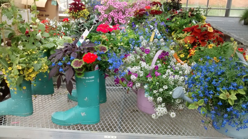 Whimsical planters like these are lots of fun.