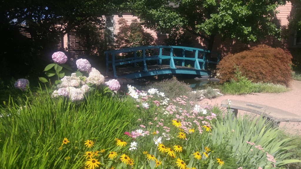 The gardeners have install a bridge reminiscent of the one in Monet famous painting.