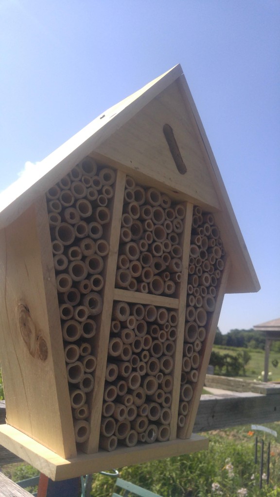 You can purchase pre-built bee houses like the one shown here. Or make your own, bees are not choosy. 