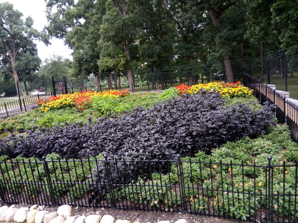 Ornamental peppers provide color for this quilt garden.