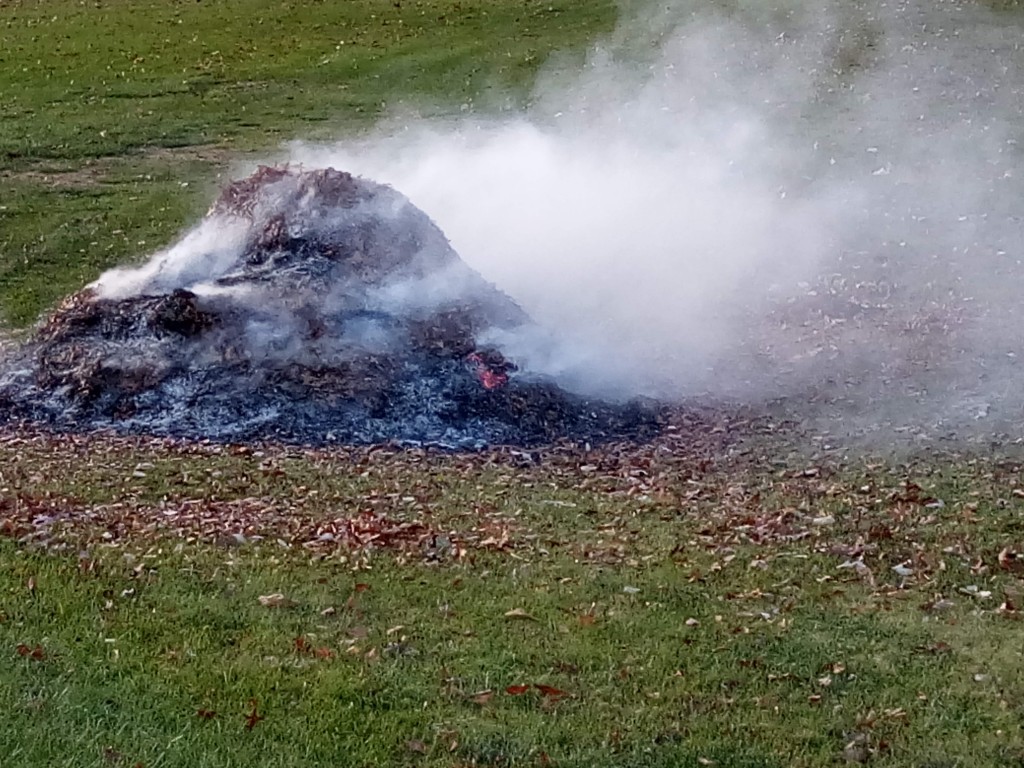 Valuable soil building components found in leaves are destroyed by burning.