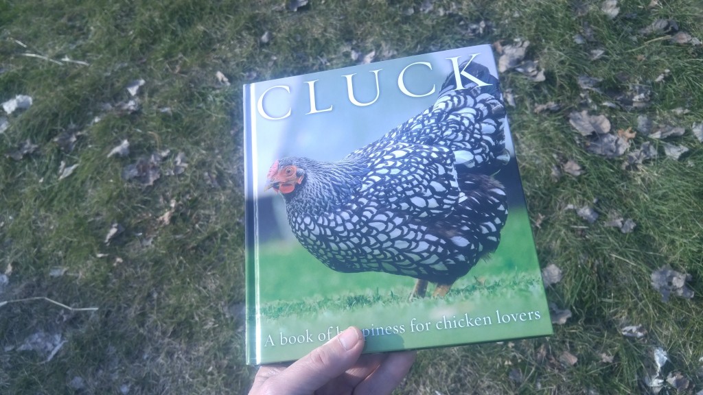 "Cluck" is the perfect gift item for the chicken enthusiast who has everything.