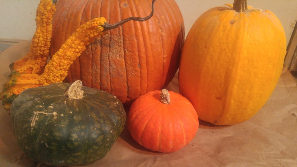 Squash and Pumpkins