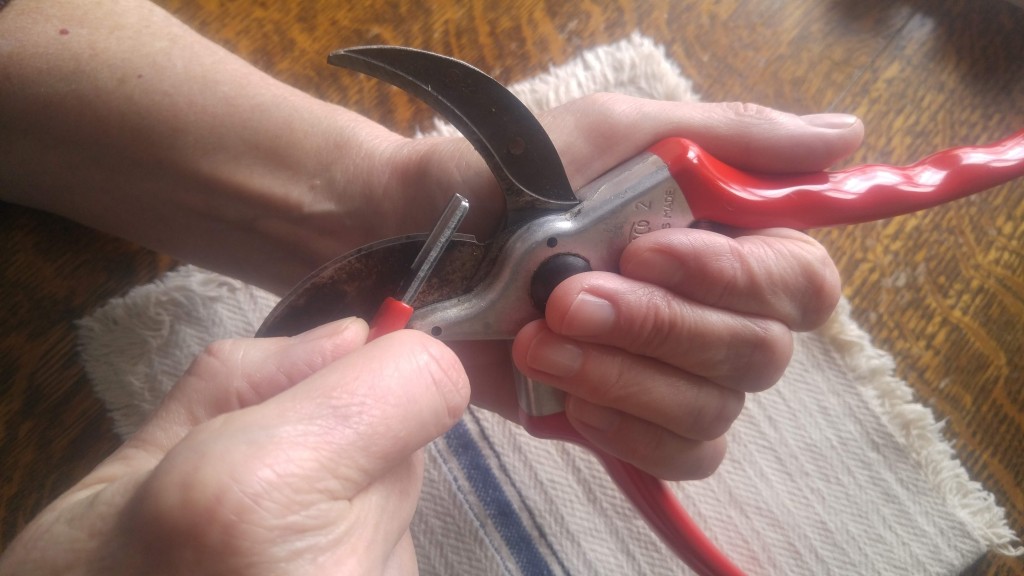 Grasp the pruners like this to avoid contact with the blade while sharpening. This grip also gives you better control of the sharpening tool.