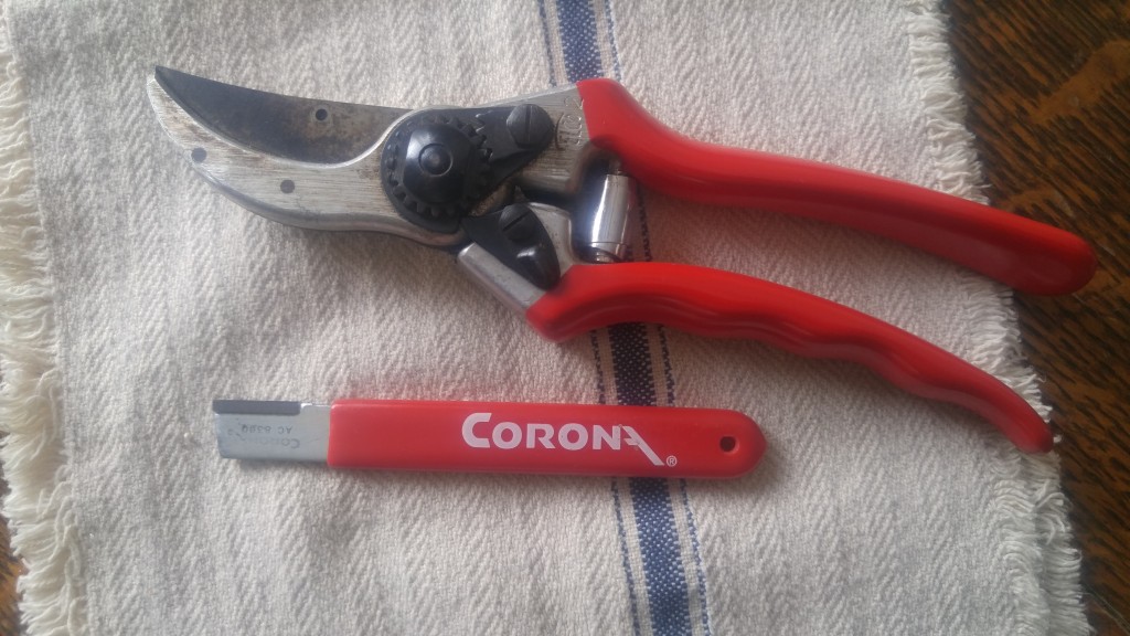 One of my Felco pruners and Corona sharpening tool.